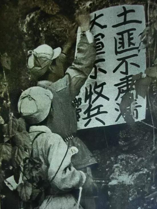 1950꣬žսʿ˷˲壬ձ