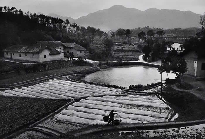 1965꣬ɽ